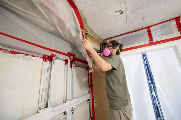 Best Mold Removal for HVAC Installations  in West Deland, FL