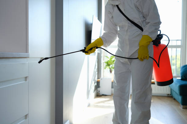 Mold Remediation for Rental Properties in West Deland, FL
