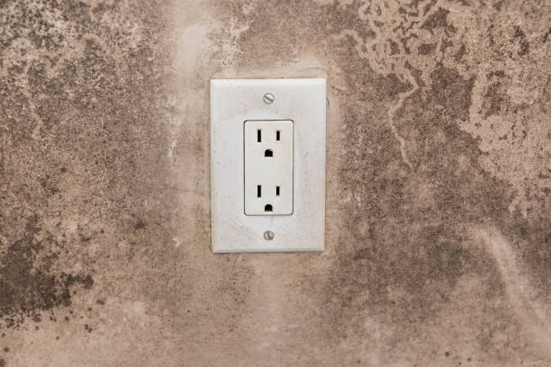 Best Mold Remediation for Rental Properties  in West Deland, FL